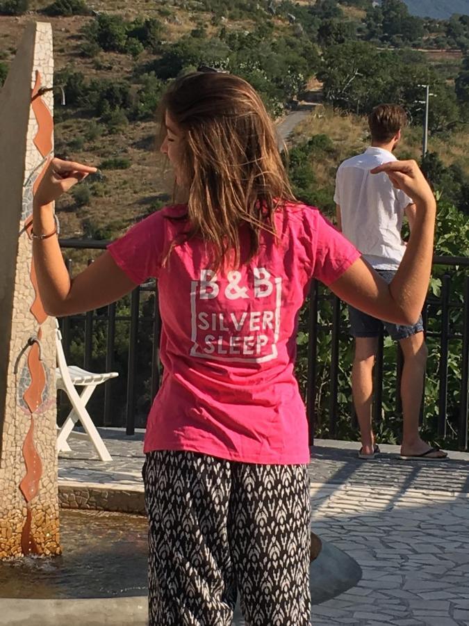 B&B Silver Sleep Papasidero Dış mekan fotoğraf